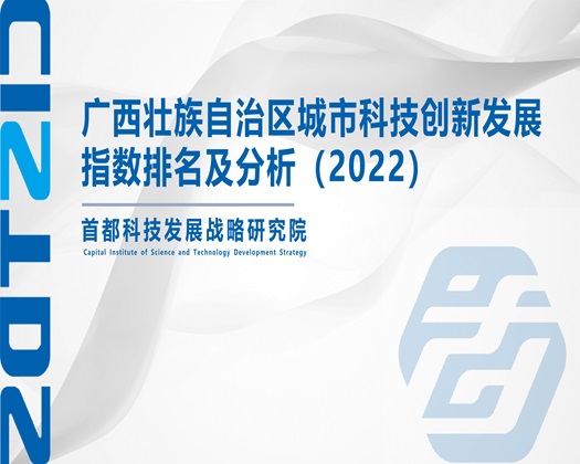 叉叉逼【成果发布】广西壮族自治区城市科技创新发展指数排名及分析（2022）